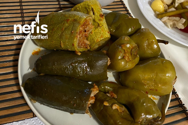 Taze Dolma (Salatalık, Biber, Kabak)