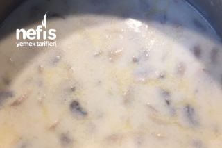 Sütlü Mantar Çorbası (100 Gramı 34 Kalori) Tarifi