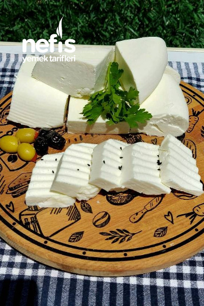 Ev Yapımı Klasik Beyaz Peynir