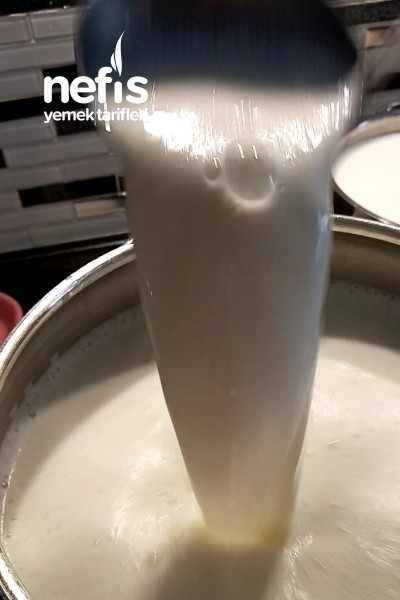 Süt Kaymağı