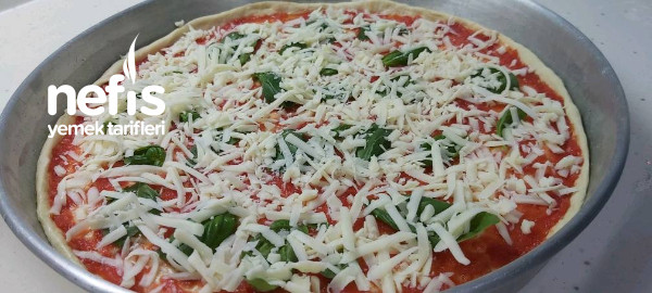 Fesleğenli Pizza Margarita