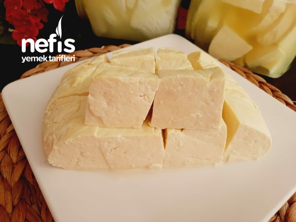 Evde Salamura Peynir Nasıl Yapılır? (Videolu)