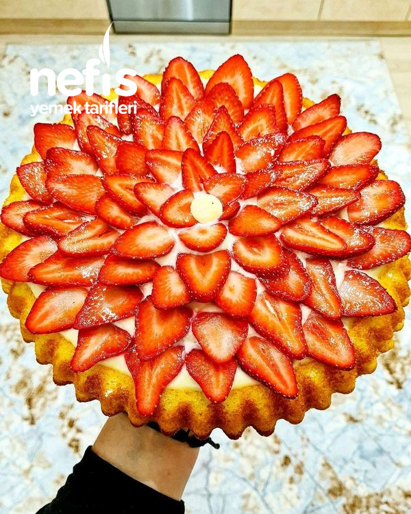 Nefis Tart Kek