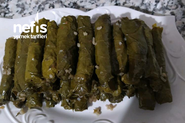 zeytinyagli-yaprak-sarmasi.jpg