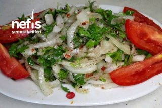 Ekşili Soğan Salatası Tarifi