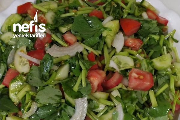 semizotu-salatasi.jpg