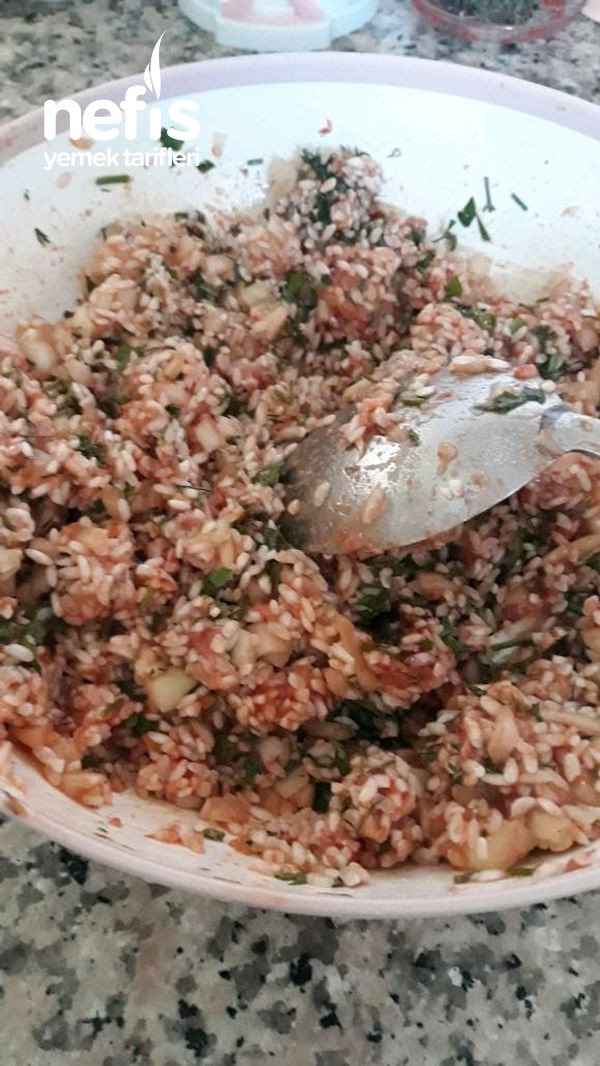 Kıymalı, Pirinçli Biber Patlıcan Dolması