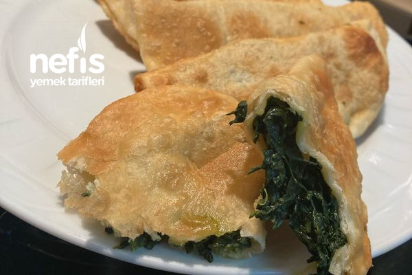 orjinal-cig-borek.jpg