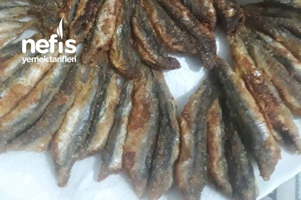 hamsi-tava-1.jpg