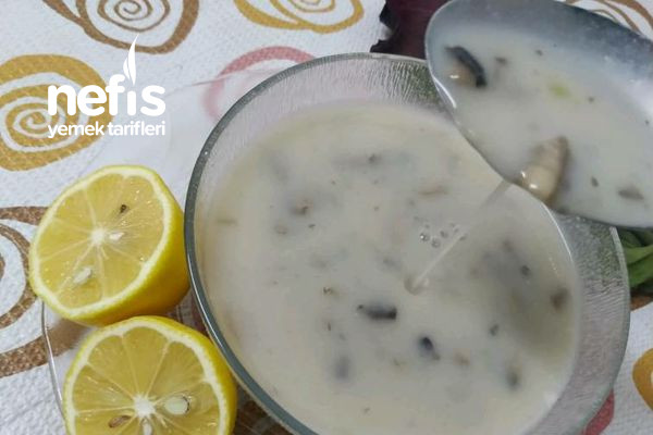 nefisss-krema-tadinda-mantar-corbasi.jpg
