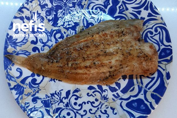 Tavada Dil Balığı