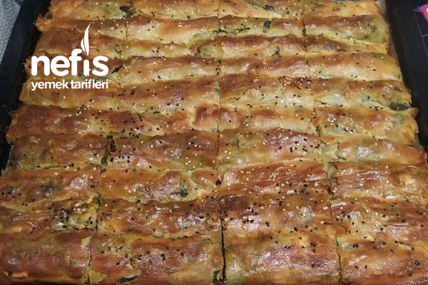 ispanakli-el-acmasi-borek.jpg