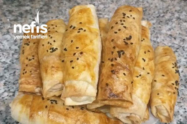 citir-citir-nefis-borek.jpg