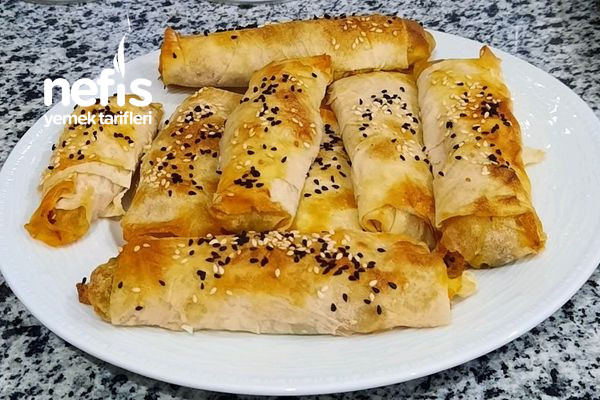 derin-dondurucu-icin-pirasali-borek.jpg