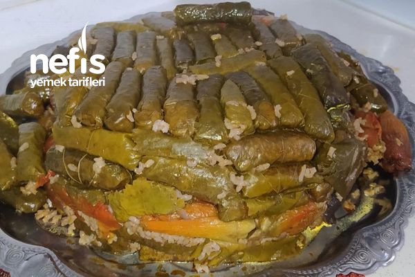 Diyarbakır Usulü Asma Yaprağında Sarma Ve Kuru Dolma Tarifi