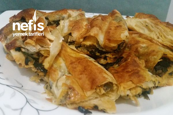 citir-ispanakli-borek.jpg
