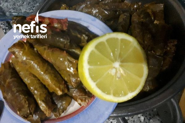 taze-dalindan-yaprak-sarmasi.jpg