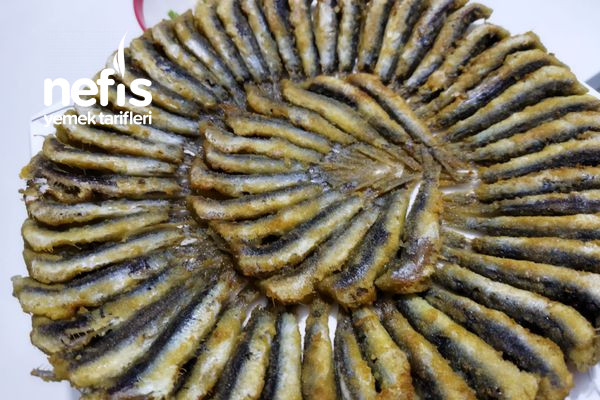 hamsi-tava.jpg