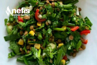 Şifa Kaynağı Yeşil Mercimek Salatası Tarifi
