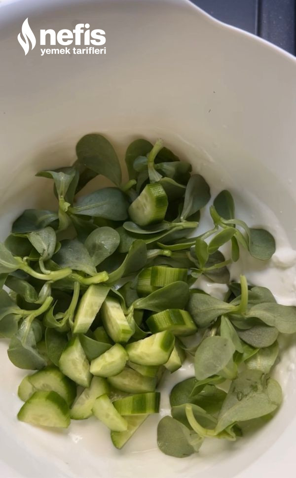 Salatalıklı Yoğurtlu Semizotu Salatası