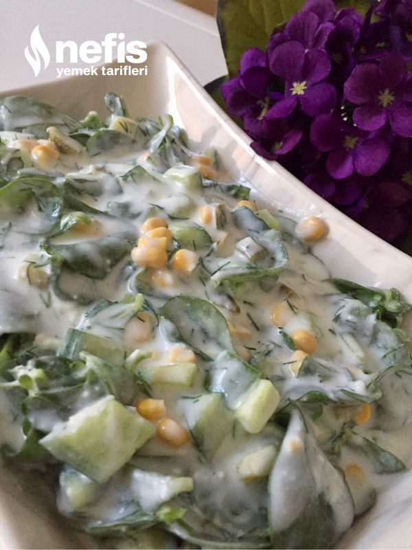 Yoğurtlu Semizotu Salatası (Çok Lezzetli)