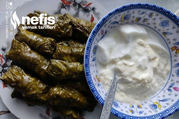 Zeytin Yağlı Dolma