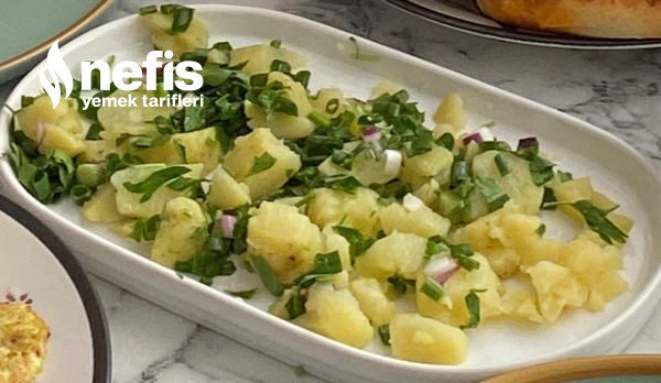 Patates Salatası-3833698-130753
