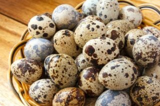 Keklik Yumurtası Faydaları Nelerdir? Kaç Günde Çıkar? Tarifi