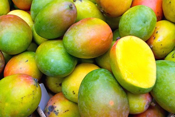 mango faydaları
