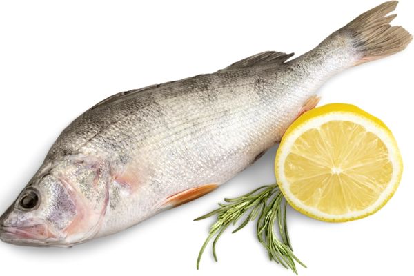 Torik Balığı Nasıl Pişirilir, Avlanır? Faydaları, Lezzetli Mi? Tarifi