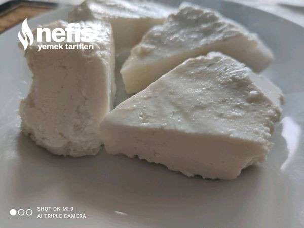 Evde Doğal Peynir Yapımı