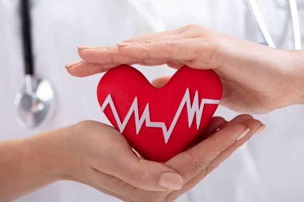 kalp sağlığını korur 
