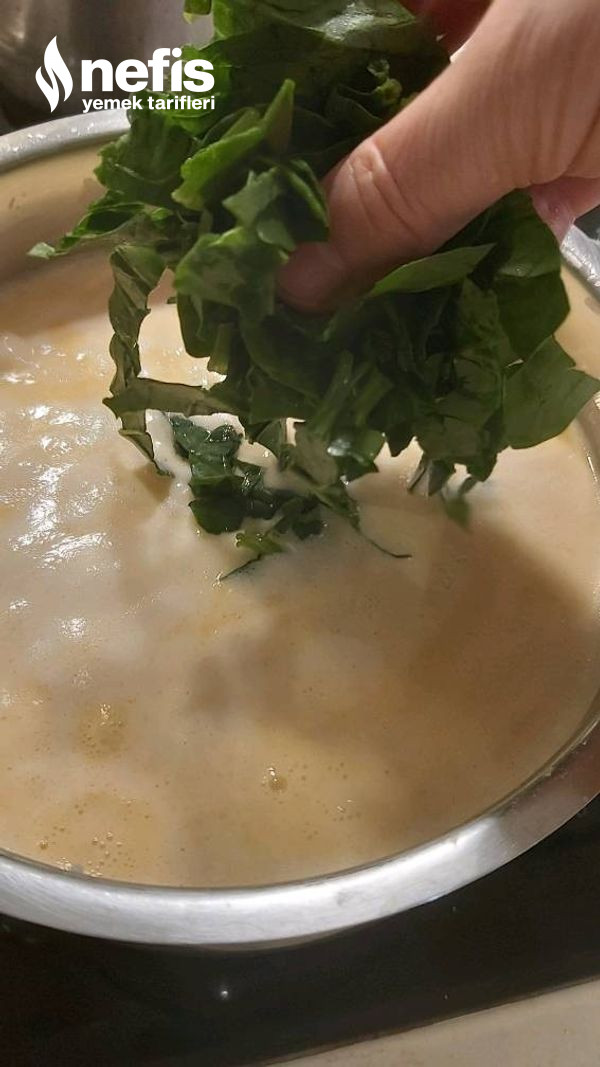 Yoğurtlu Ispanak Çorbası