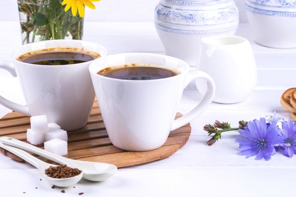 hindiba kahvesi faydaları