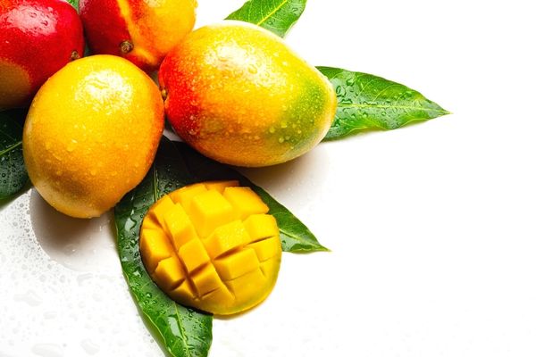 mango çekirdeği