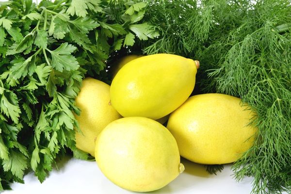 maydanoz limon kürü faydaları