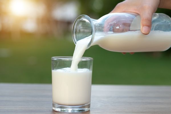 proteinli süt pınar