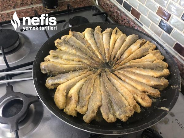 Mezgit Balığı Nasıl Pişirilir (Mezgit Tava Tarifi) Videolu