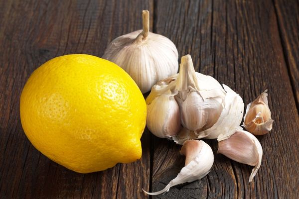 limon sarımsak kürü faydaları 