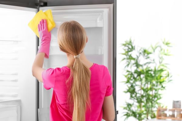 buzdolabı temizliği