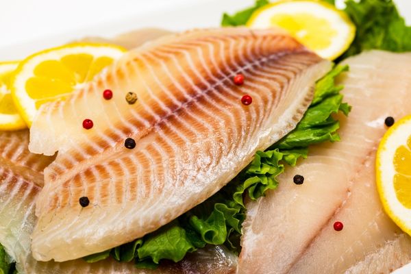 Morina Balığı: Yağı, Faydaları ve Fiyatı Tarifi