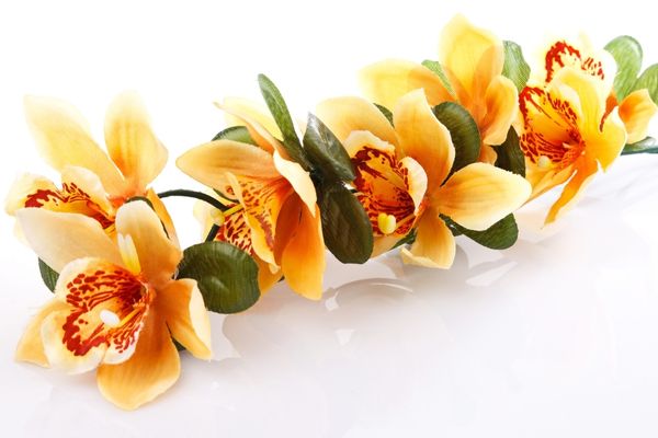 orkide çiçek