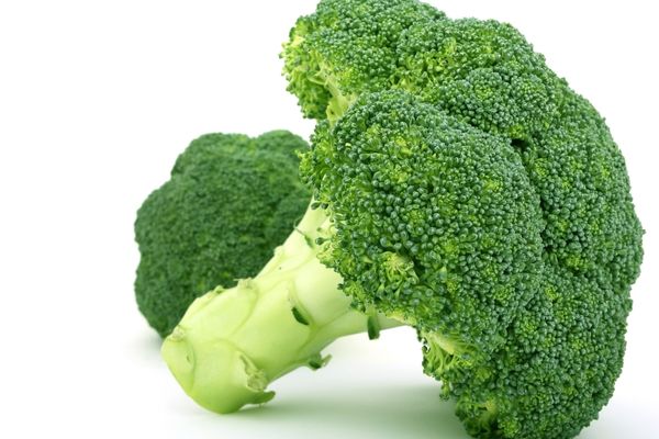 Brokoli kürü faydaları