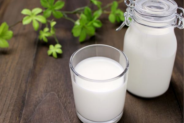 laktozsuz süt kalori