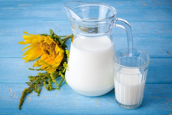 proteinli süt 