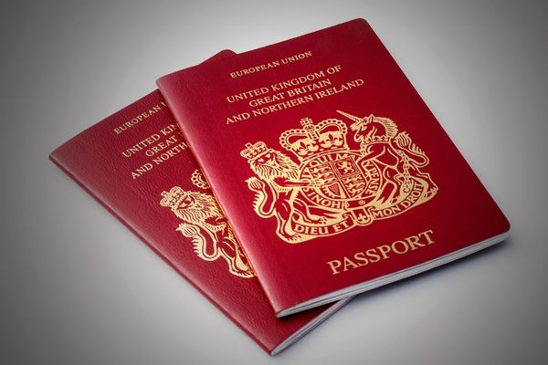 pasaport randevusu