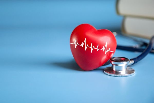 kalp sağlığı