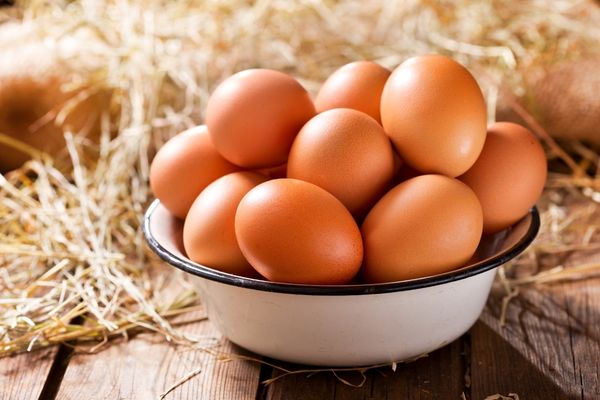 organik yumurta numarası