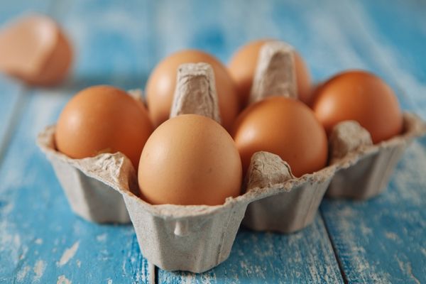 yumurta yetiştirme kodları