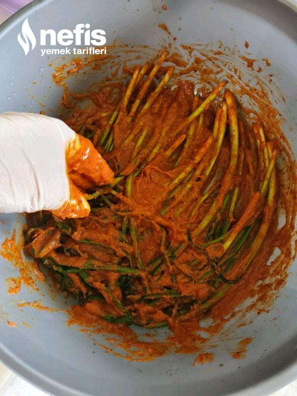 Kimchi (Kore Taze Soğan Turşusu)